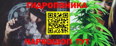a pvp Абакан