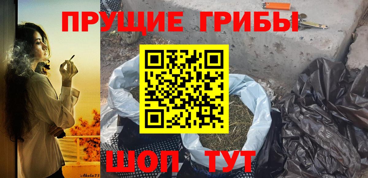 Псилоцибиновые грибы GOLDEN TEACHER Артём