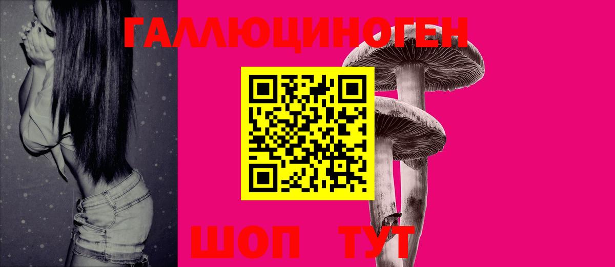 купить закладку  Псилоцибиновые грибы GOLDEN TEACHER  Вход с VPN  Артём  Галлюциногенные грибы Psilocybe 